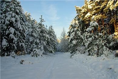 《Crisol: Theater of Idols》steam上线 第一人称恐怖新游